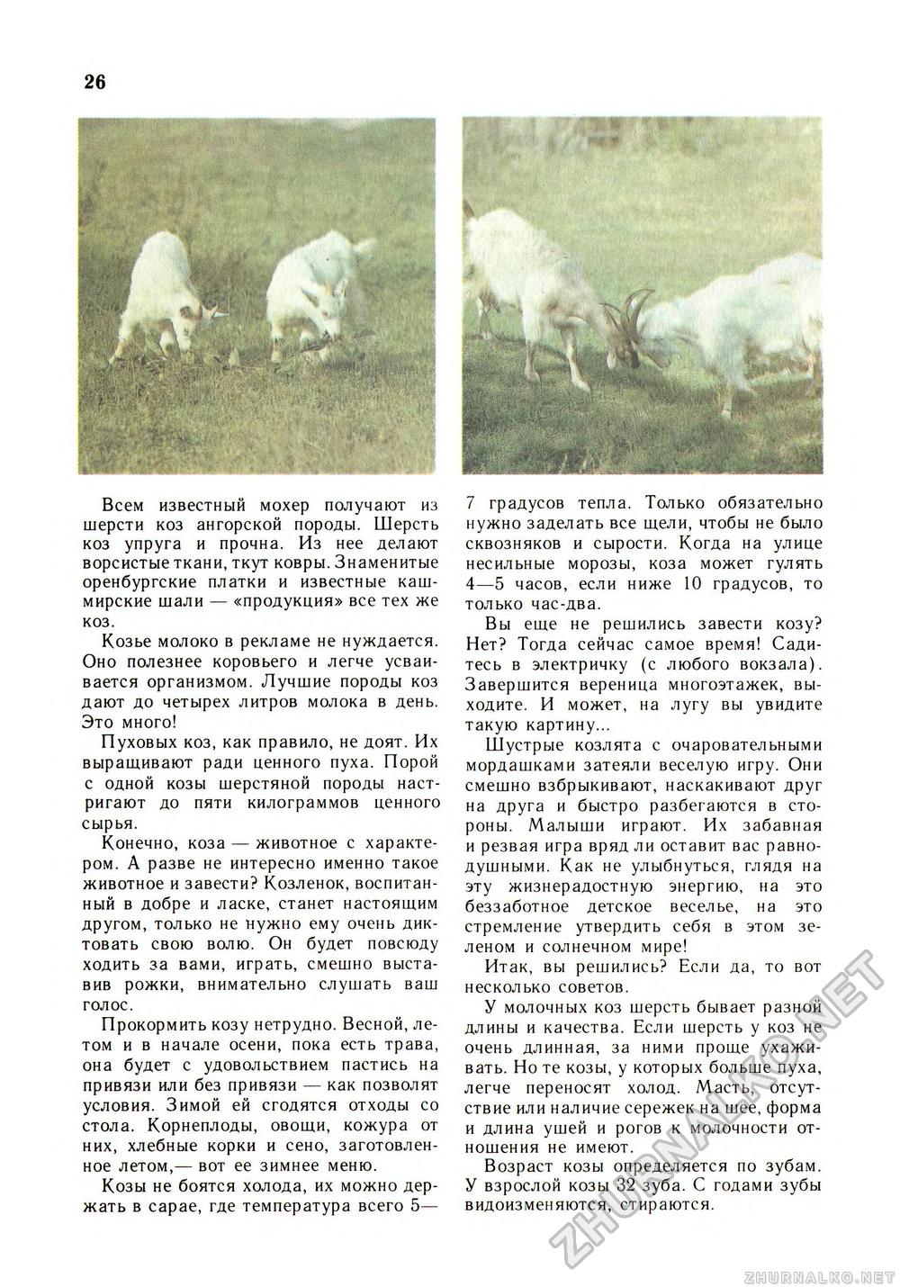 Юный Натуралист 1991-05, страница 28