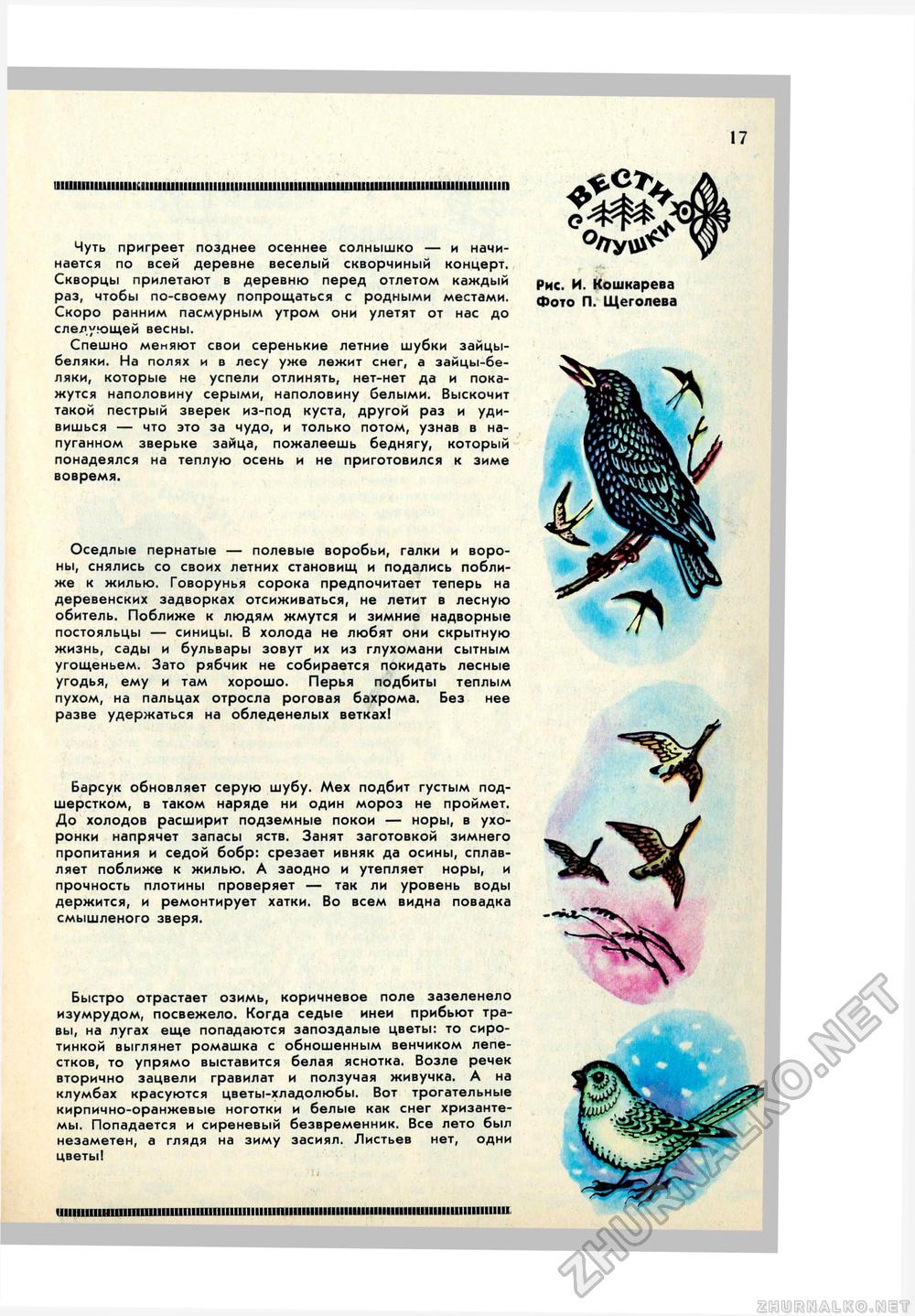 Юный Натуралист 1972-10, страница 19