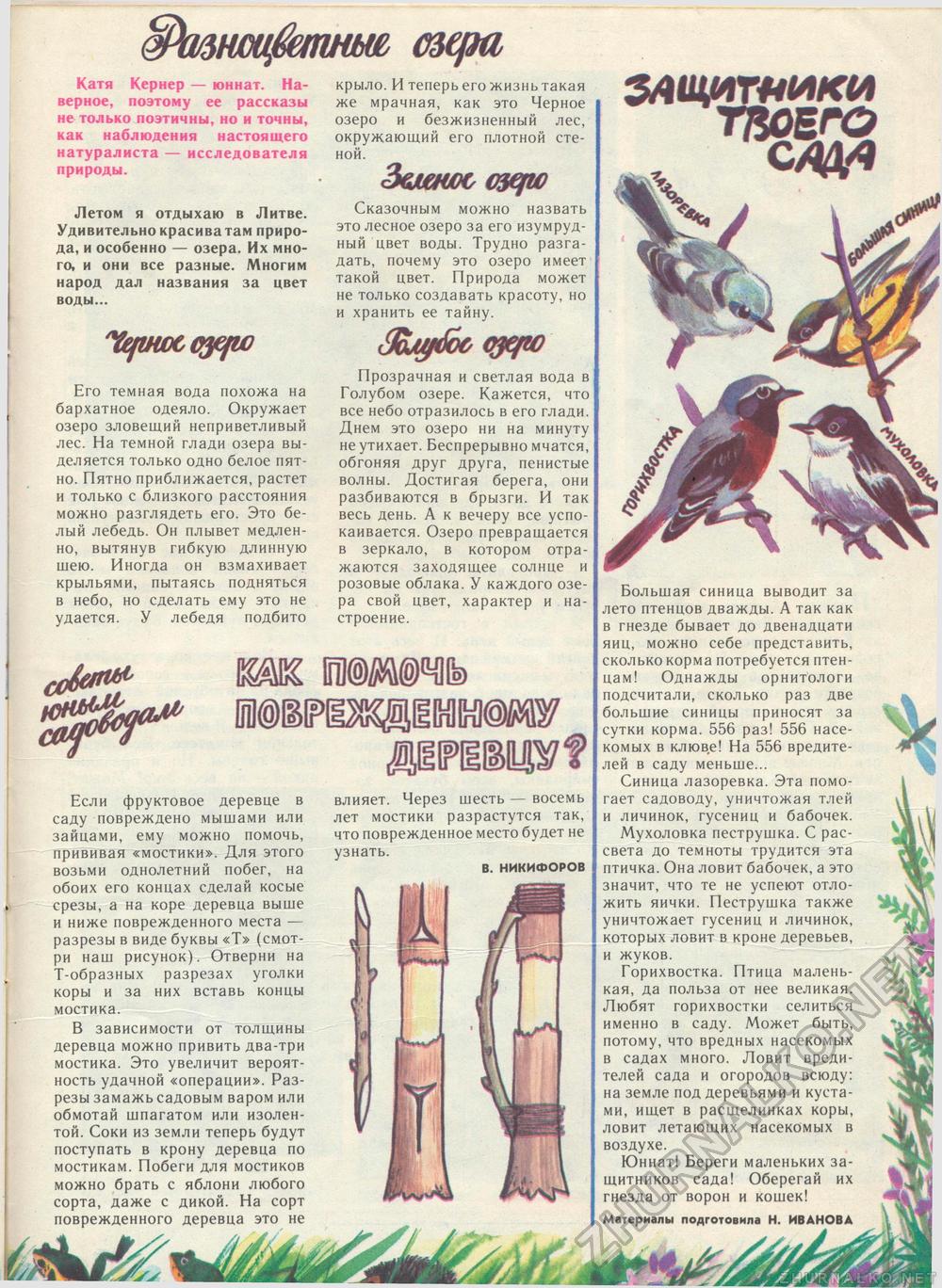 Костёр 1985-07, страница 35