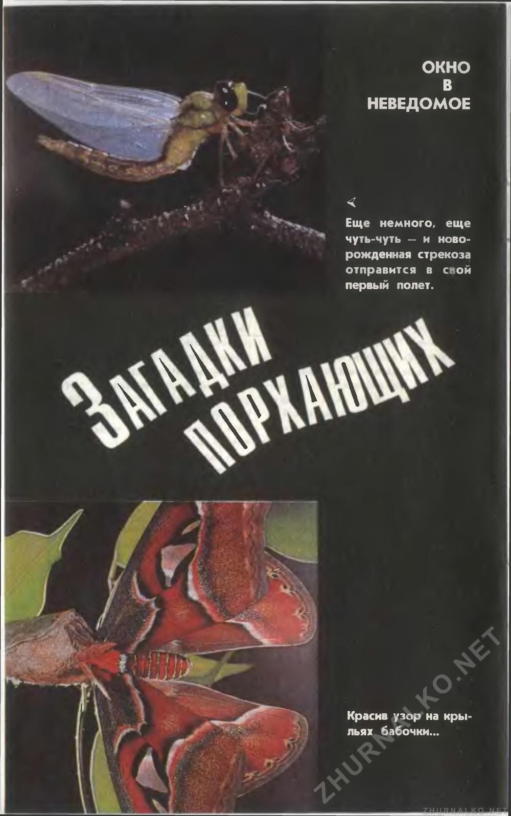   1996-08,  10
