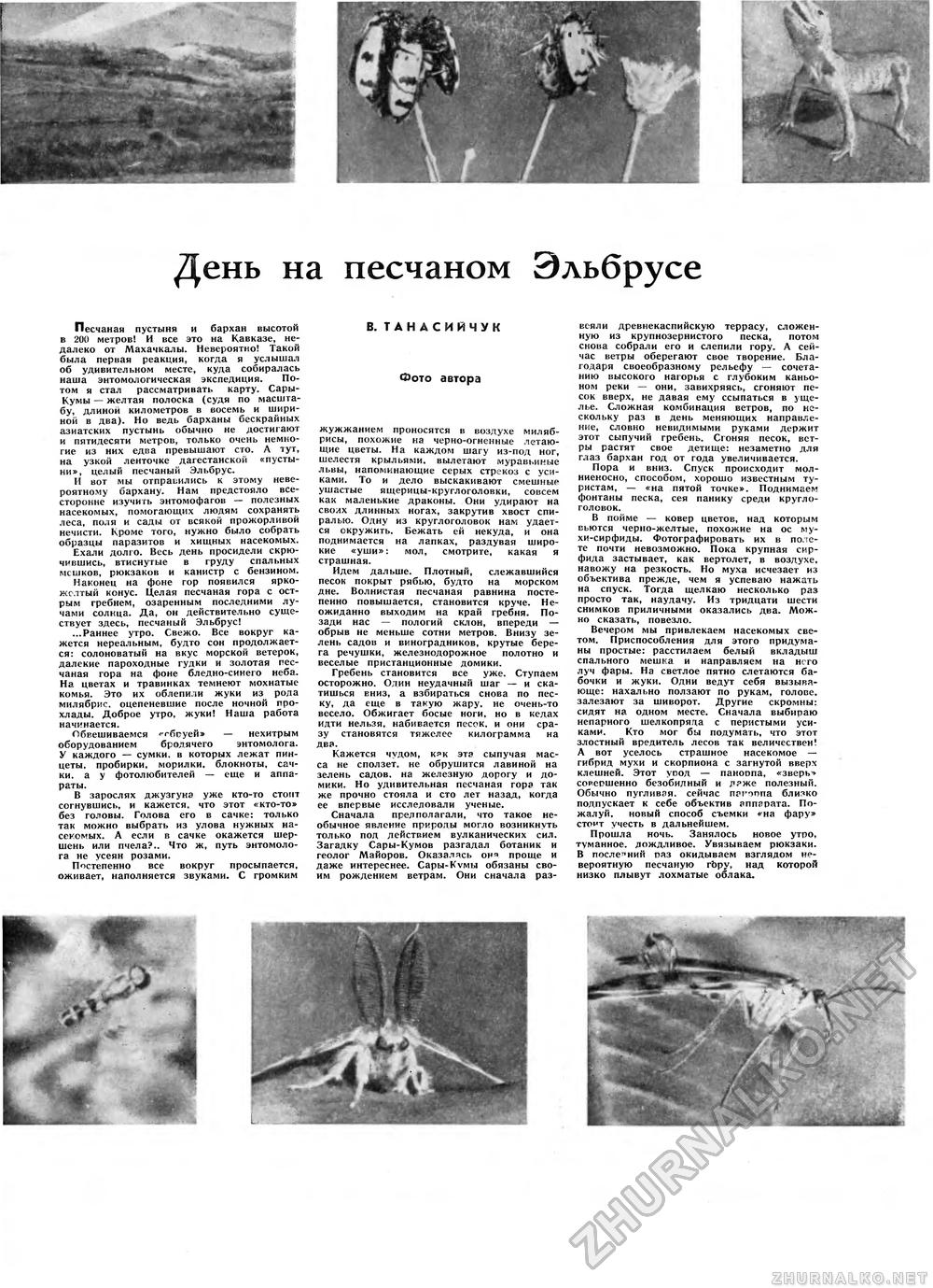 Вокруг света 1963-04, страница 69