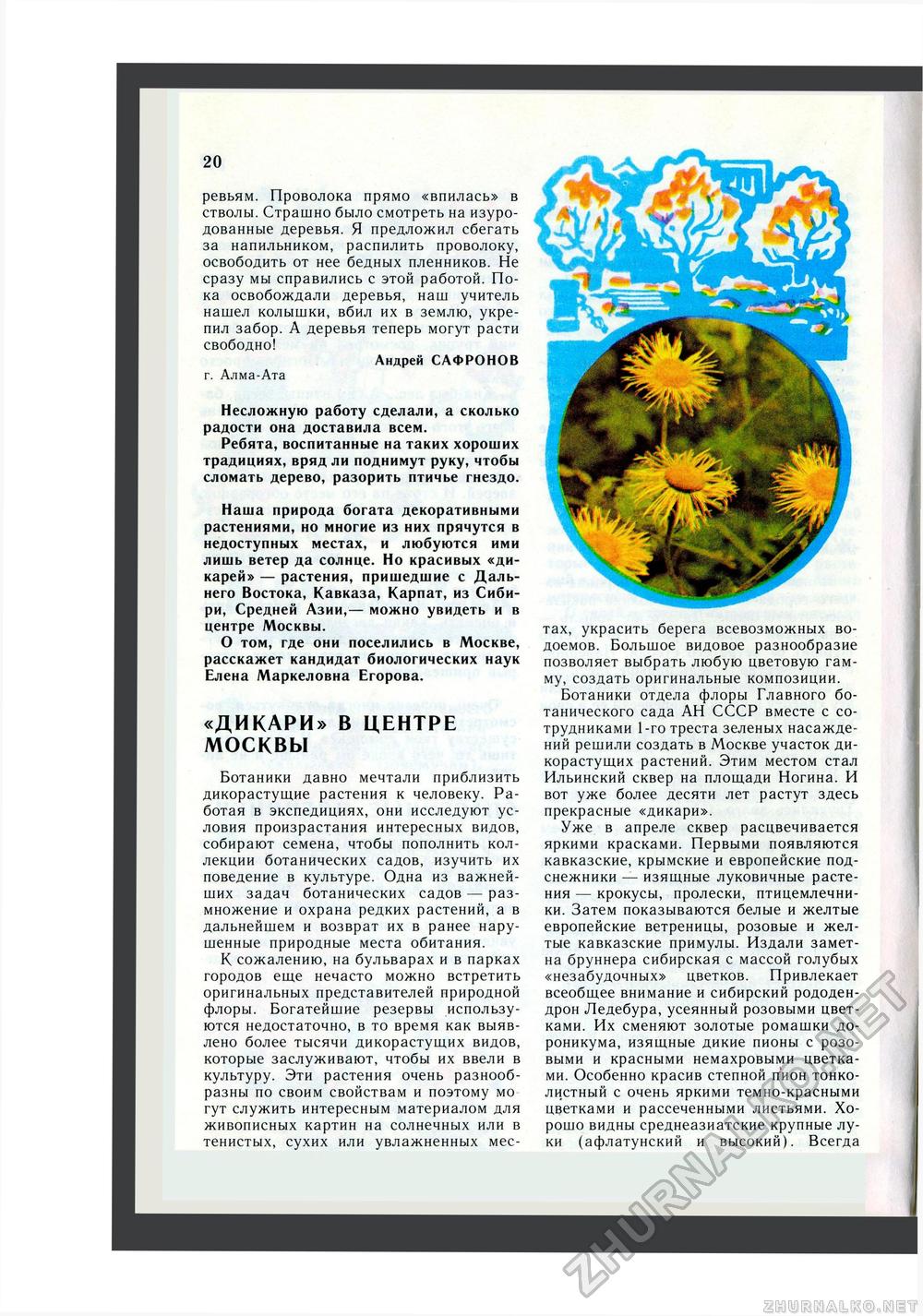 Юный Натуралист 1985-10, страница 22
