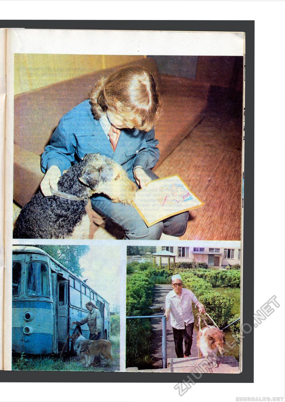 Юный Натуралист 1985-10, страница 29