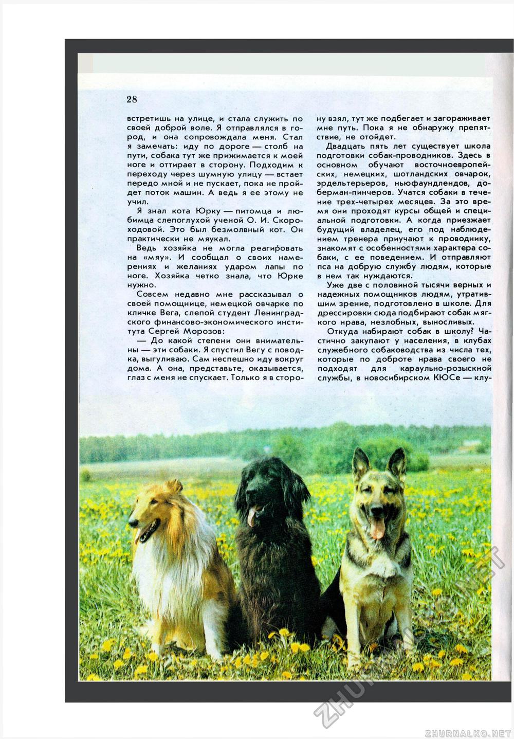 Юный Натуралист 1985-10, страница 30
