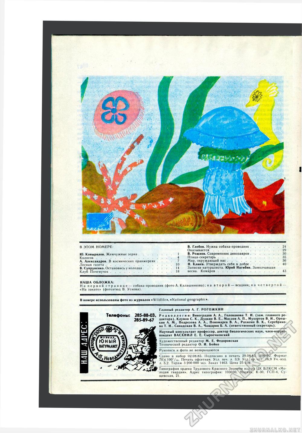 Юный Натуралист 1985-10, страница 50