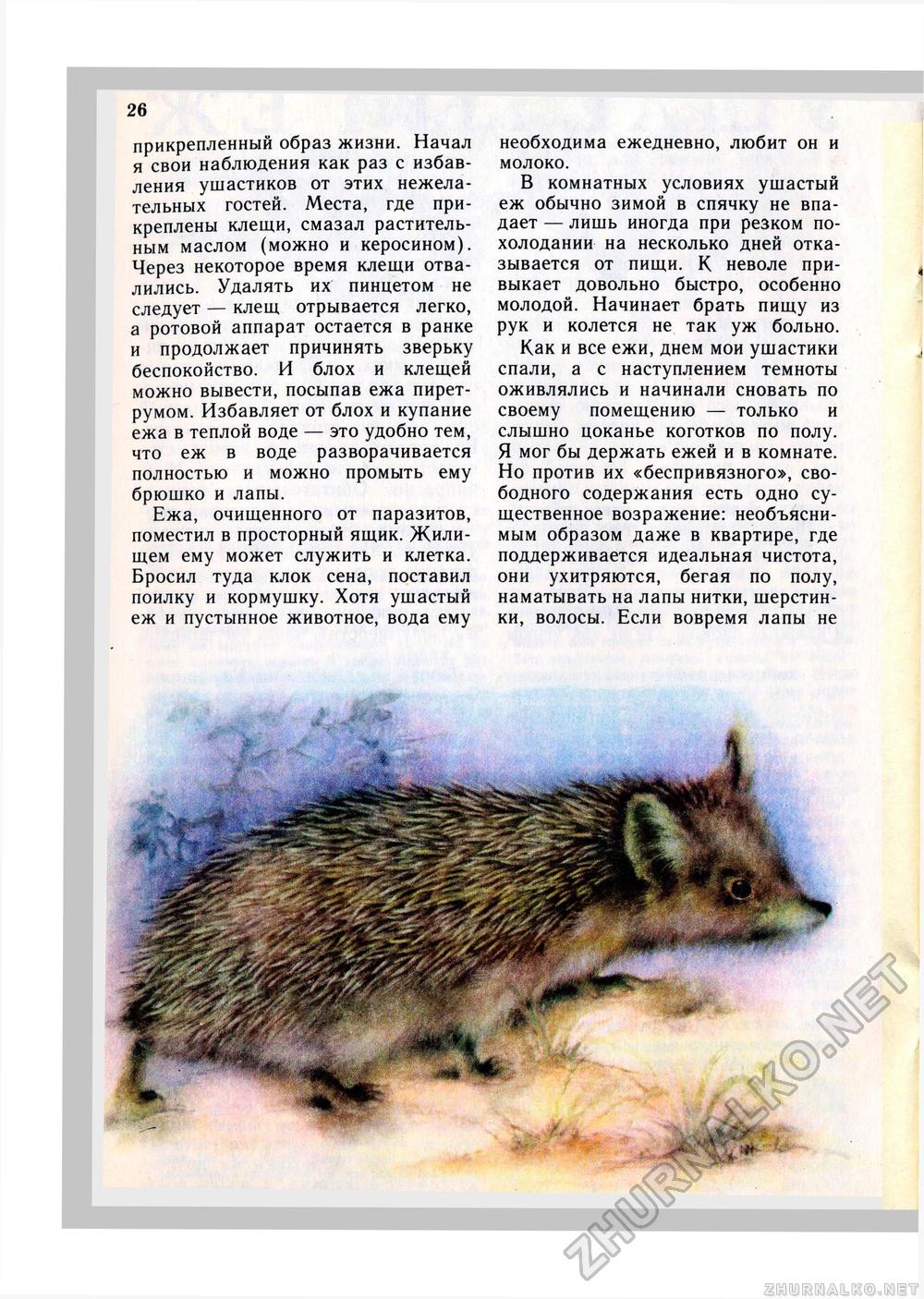 Юный Натуралист 1980-12, страница 28