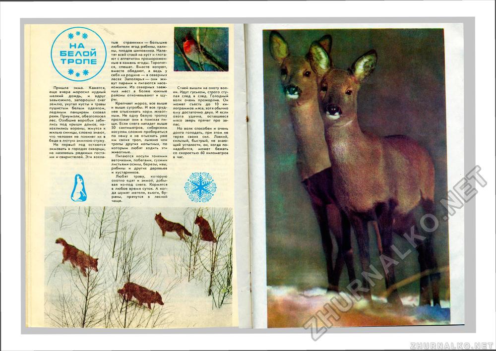 Юный Натуралист 1980-12, страница 30