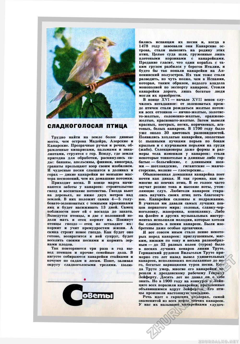 Юный Натуралист 1980-12, страница 45