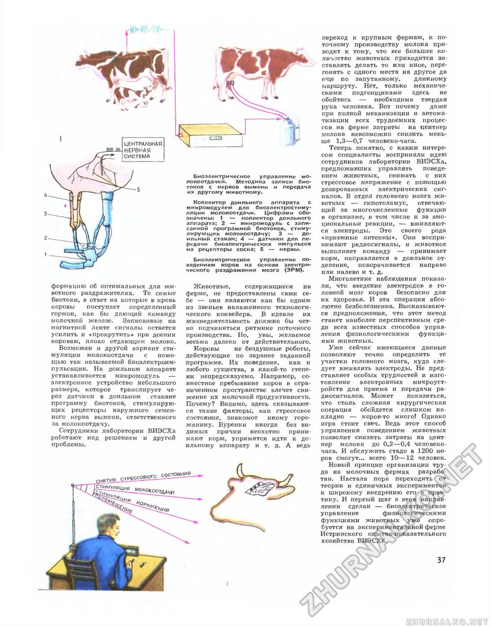 Техника - молодёжи 1978-10, страница 39