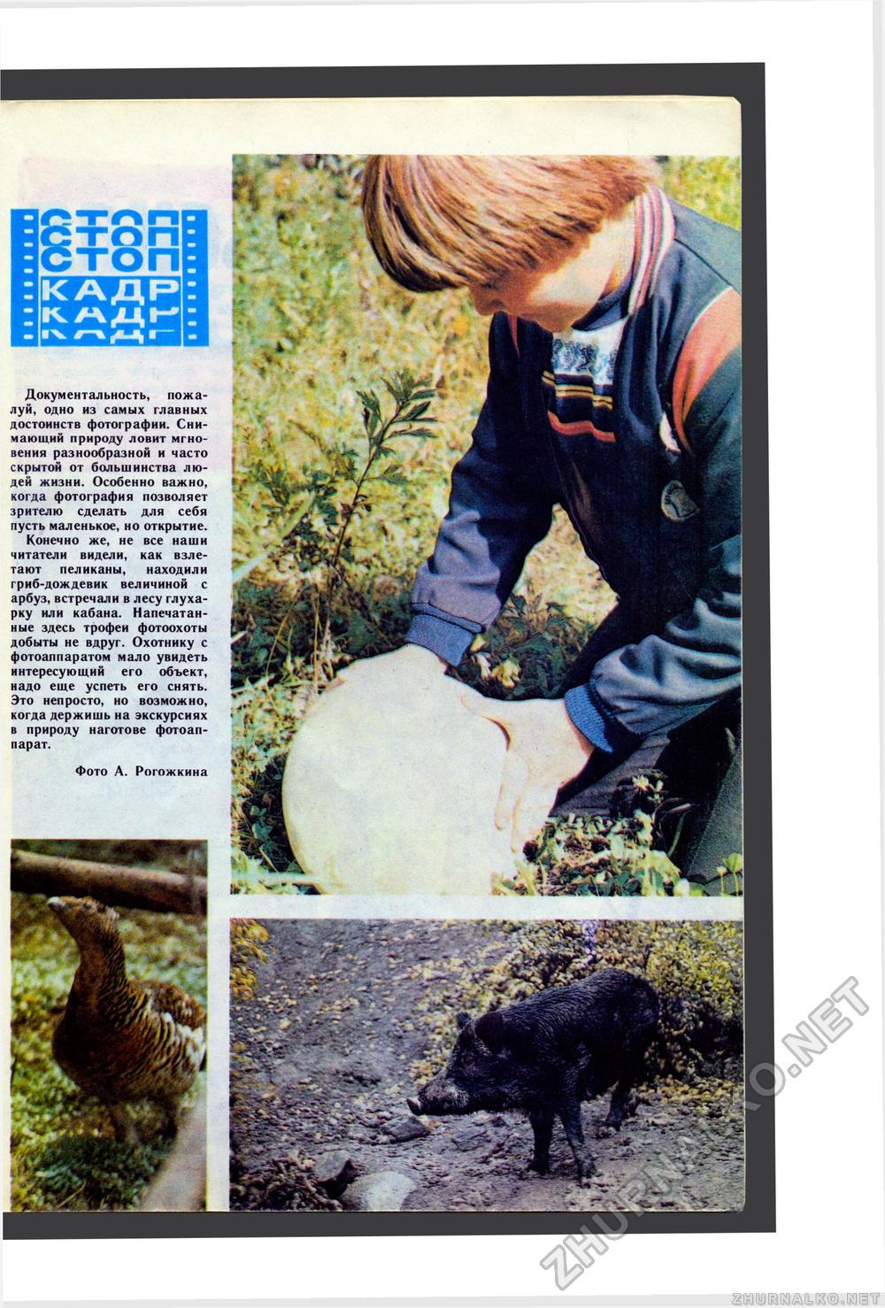 Юный Натуралист 1986-08, страница 32