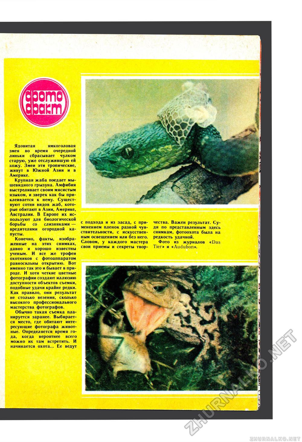 Юный Натуралист 1987-12, страница 42