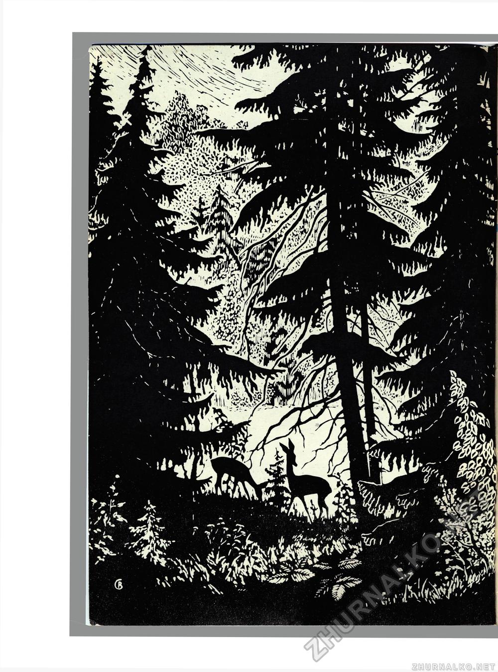 Юный Натуралист 1974-08, страница 2