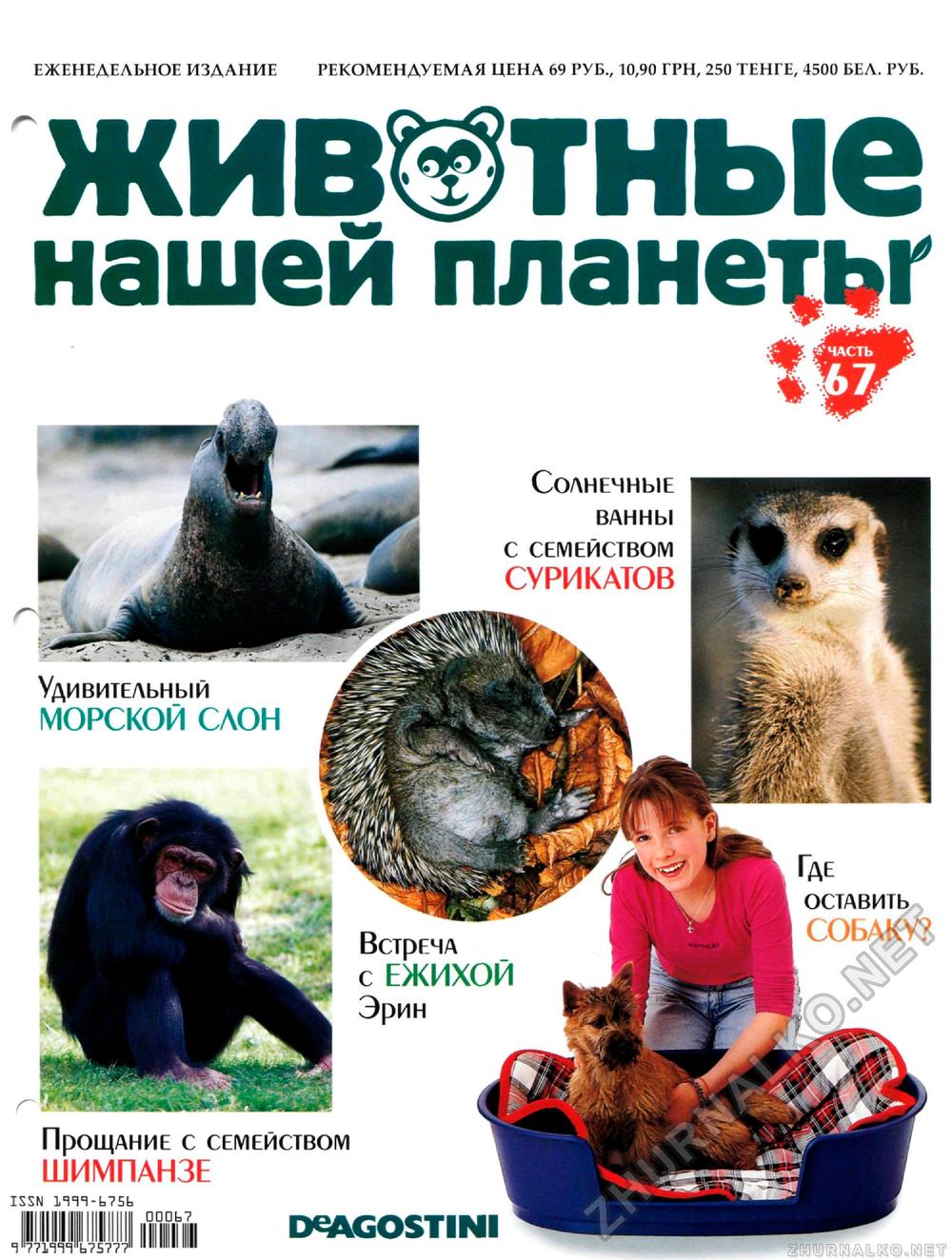 Животные нашей планеты журнал читать