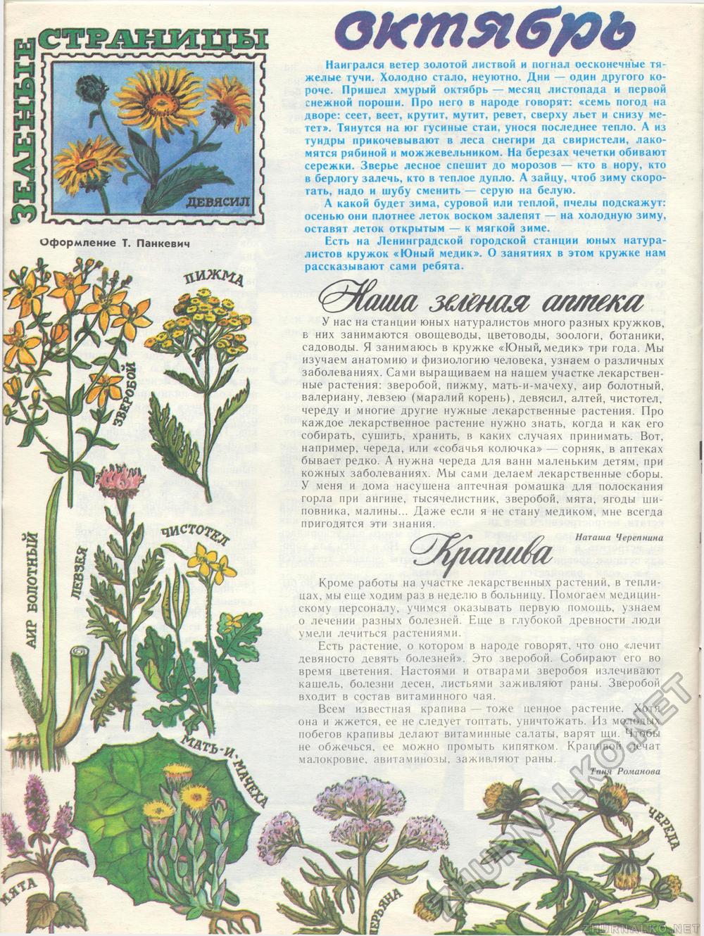 Костёр 1987-10, страница 37