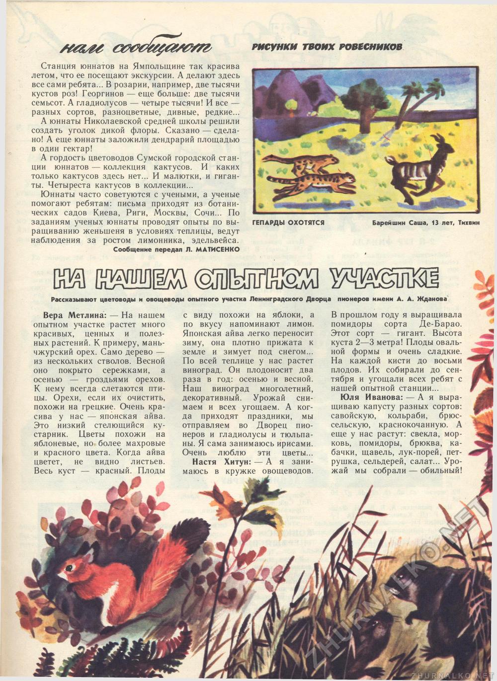 Костёр 1986-09, страница 34