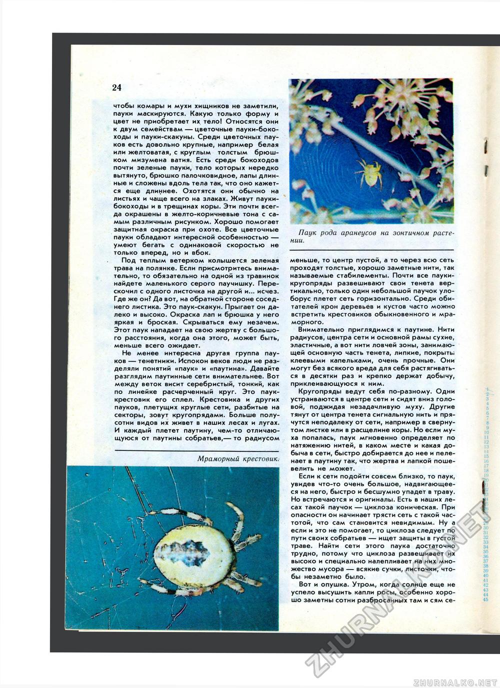 Юный Натуралист 1983-06, страница 26