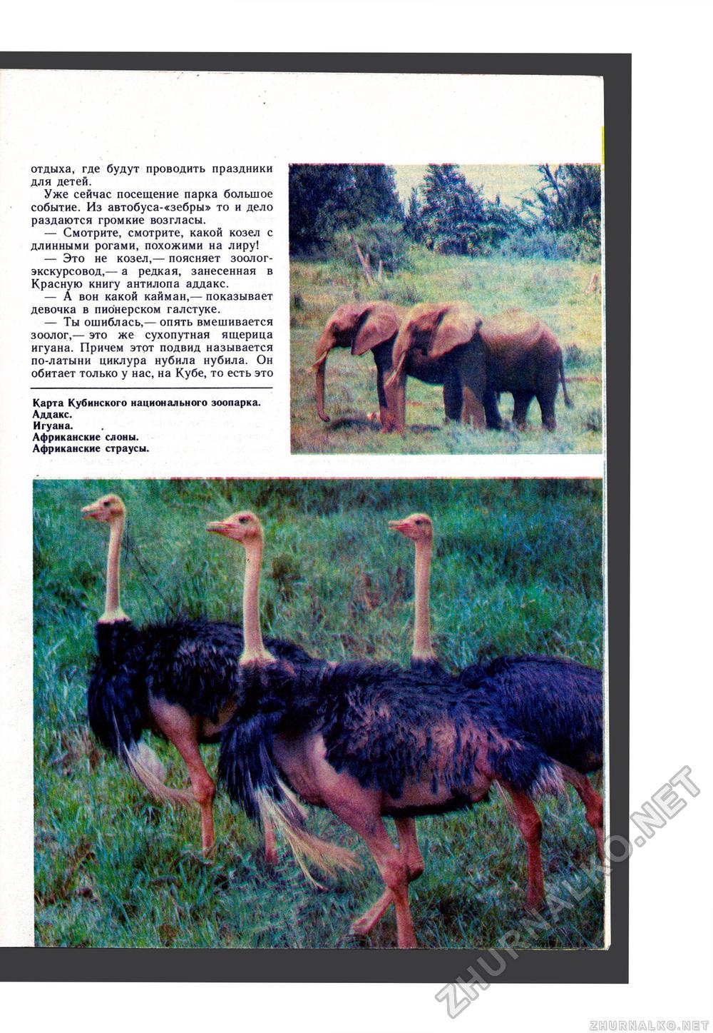 Юный Натуралист 1988-03, страница 37