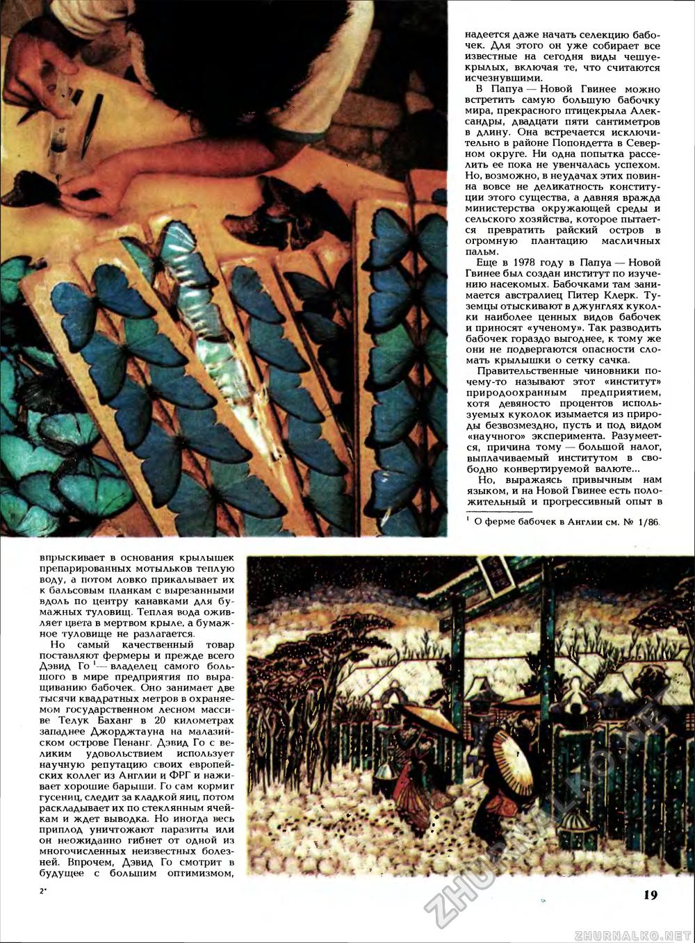 Вокруг света 1989-06, страница 21