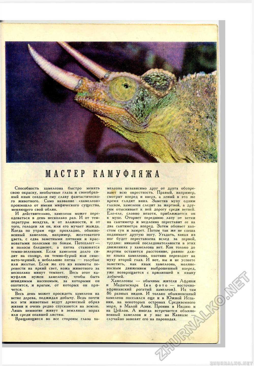 Юный Натуралист 1975-12, страница 35