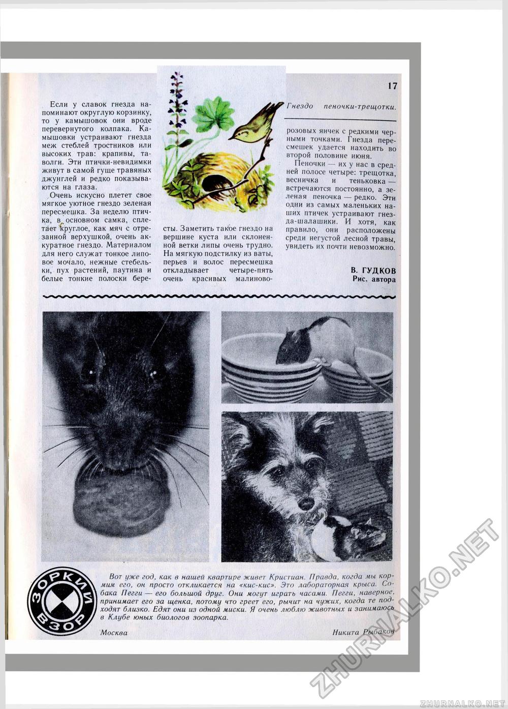 Юный Натуралист 1981-06, страница 12