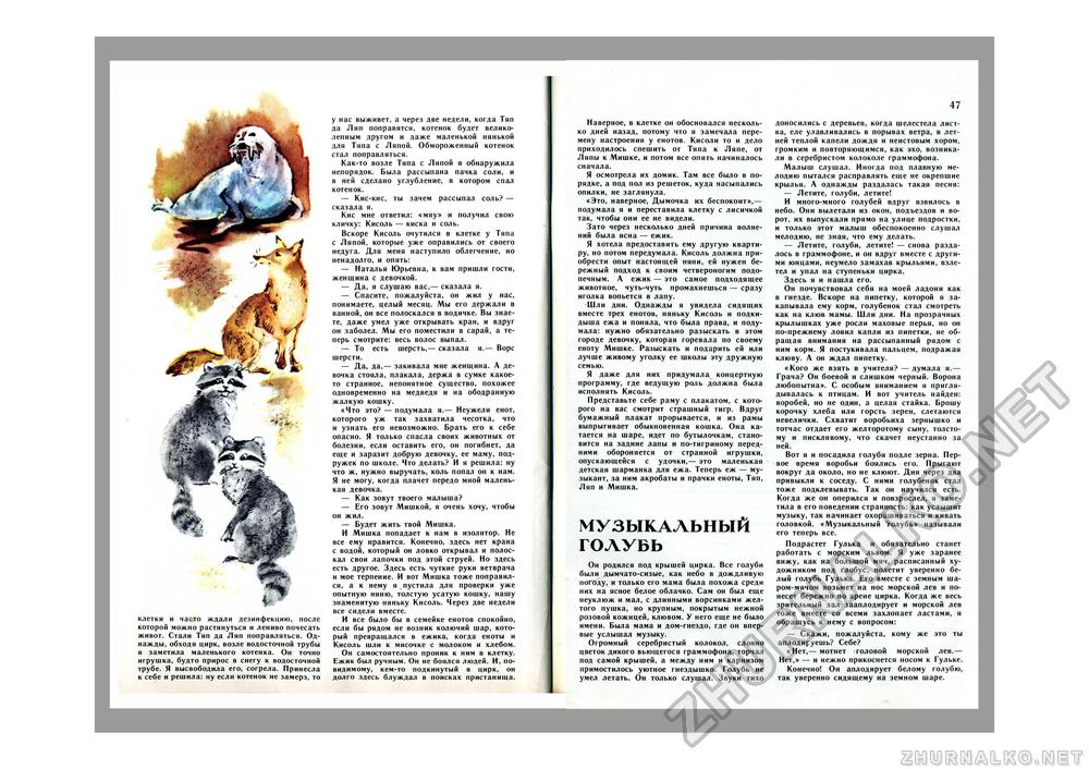 Юный Натуралист 1981-06, страница 33