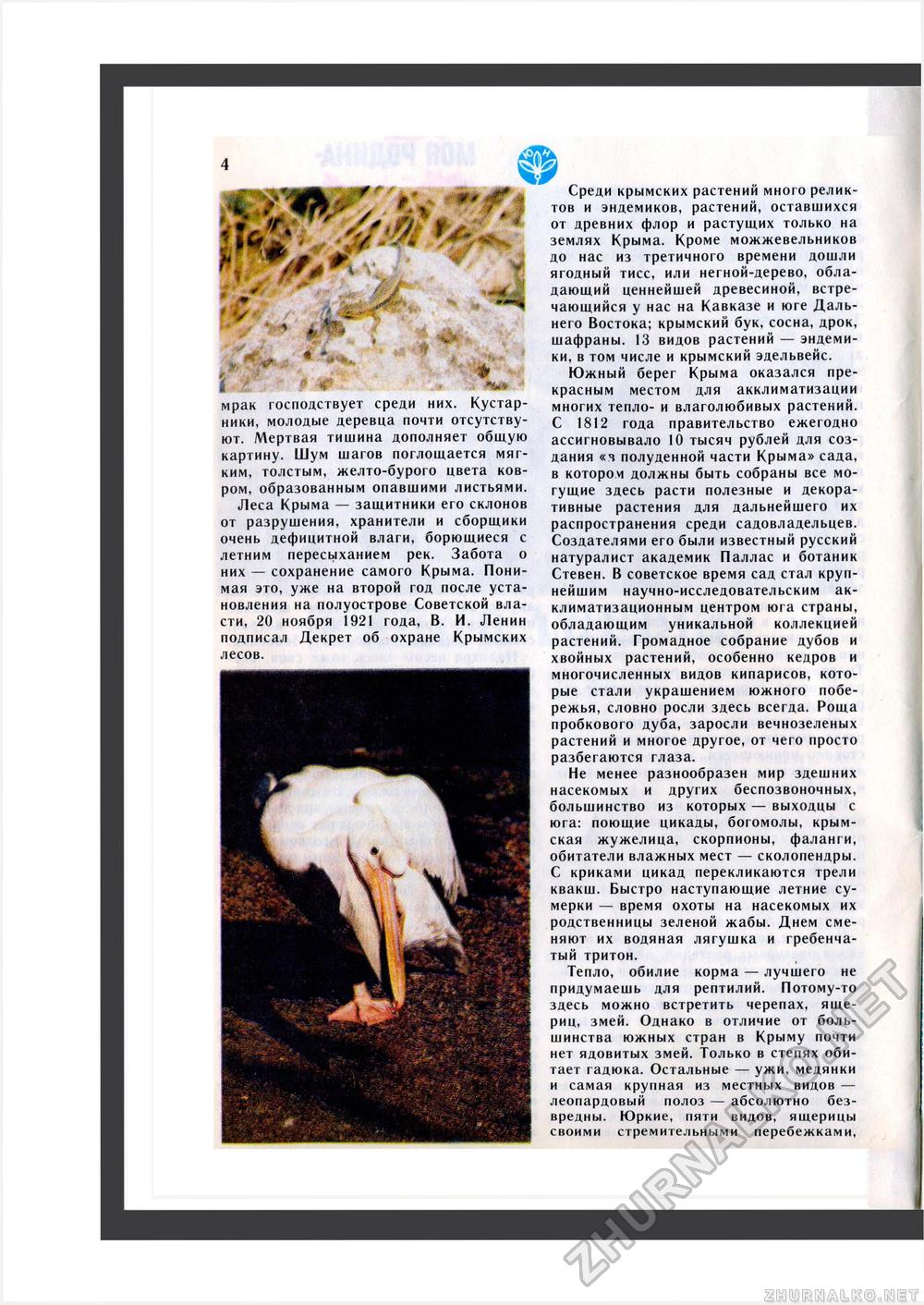 Юный Натуралист 1988-07, страница 6