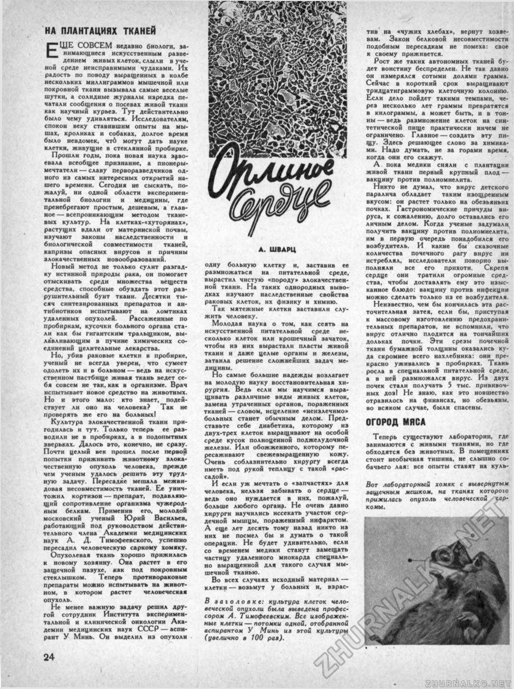 Техника - молодёжи 1960-07, страница 29