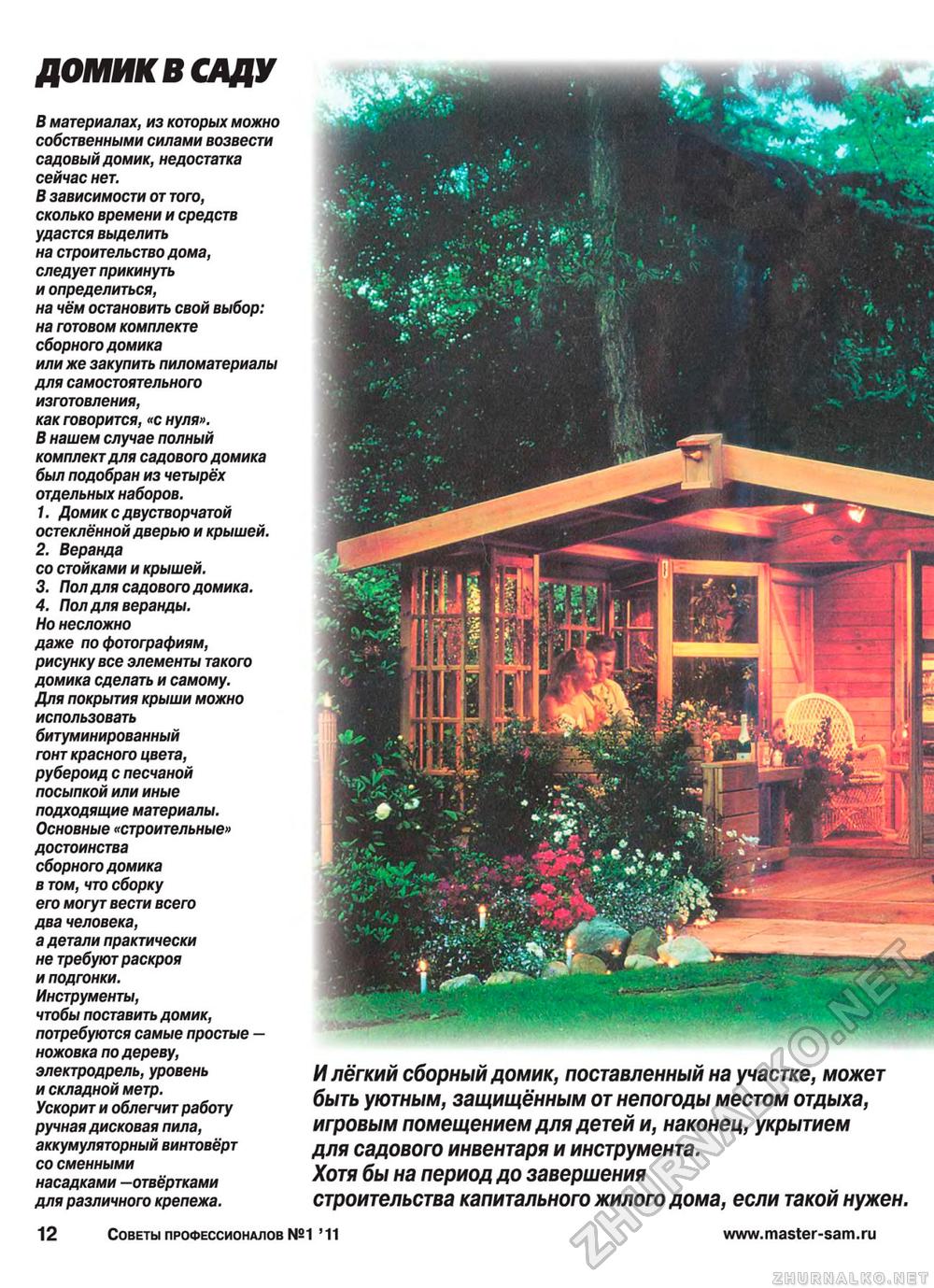 Советы профессионалов 2011-01, страница 12