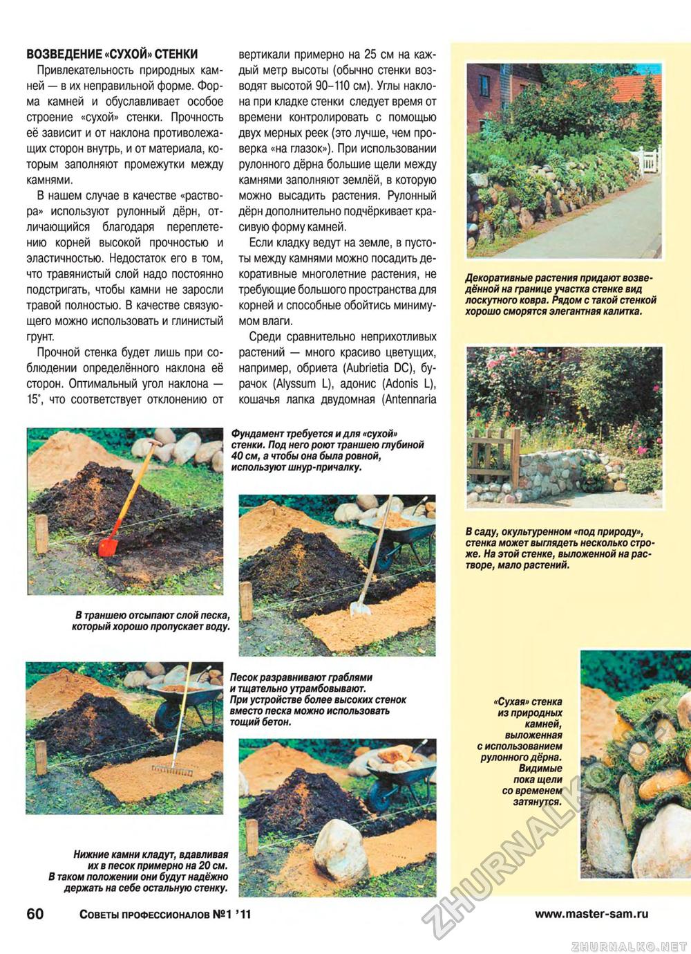 Советы профессионалов 2011-01, страница 60