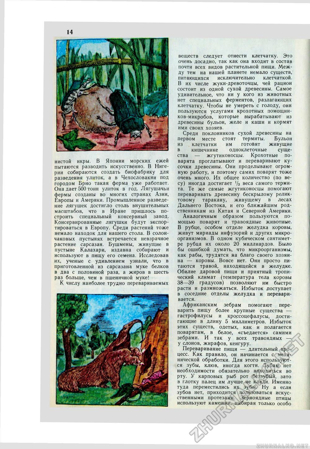Юный Натуралист 1975-09, страница 17