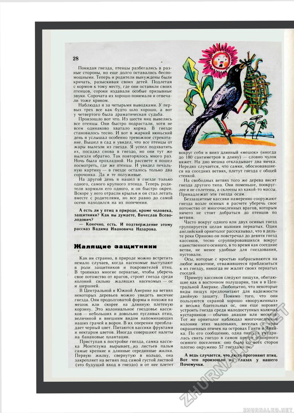 Юный Натуралист 1982-03, страница 28