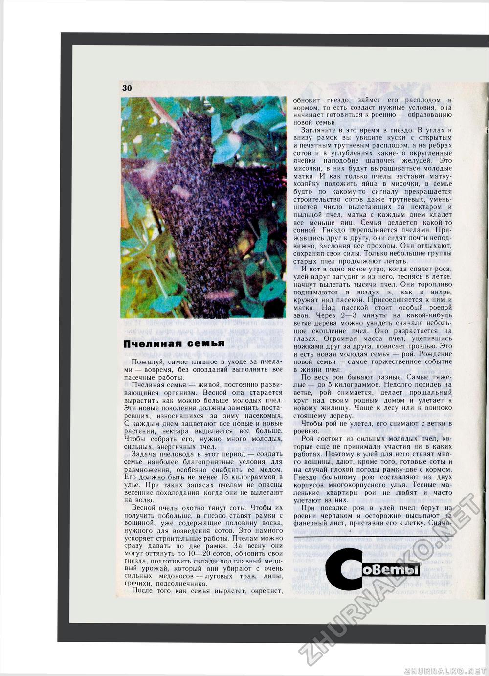 Юный Натуралист 1982-03, страница 30