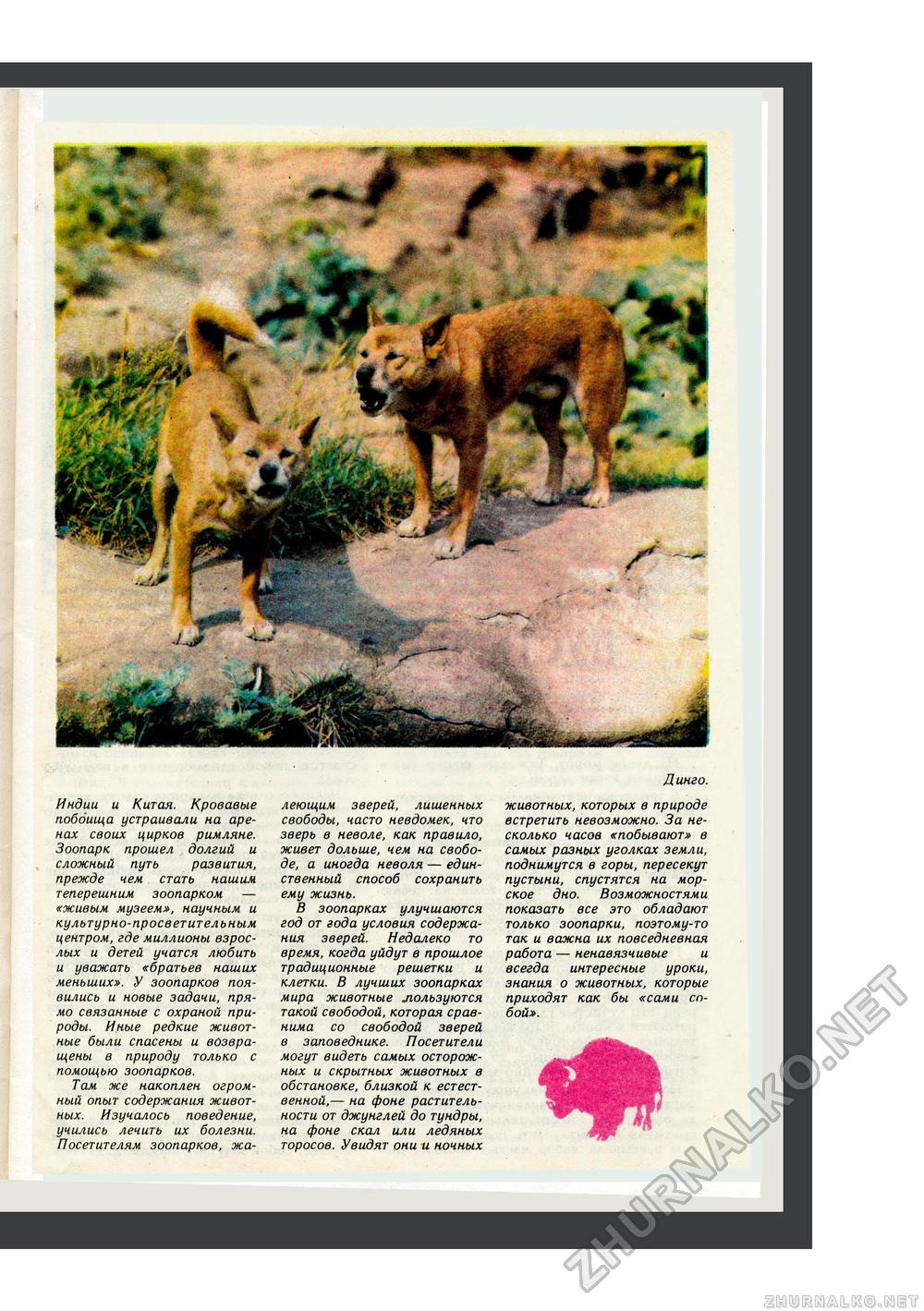 Юный Натуралист 1982-03, страница 35