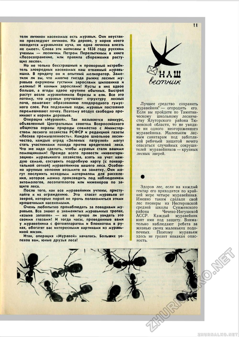 Юный Натуралист 1971-08, страница 13
