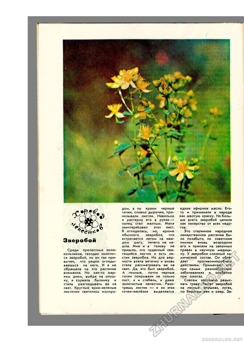 Юный Натуралист 1973-06, страница 32