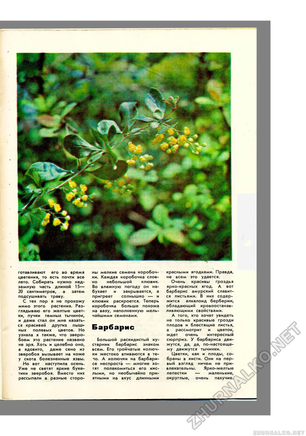 Юный Натуралист 1973-06, страница 33