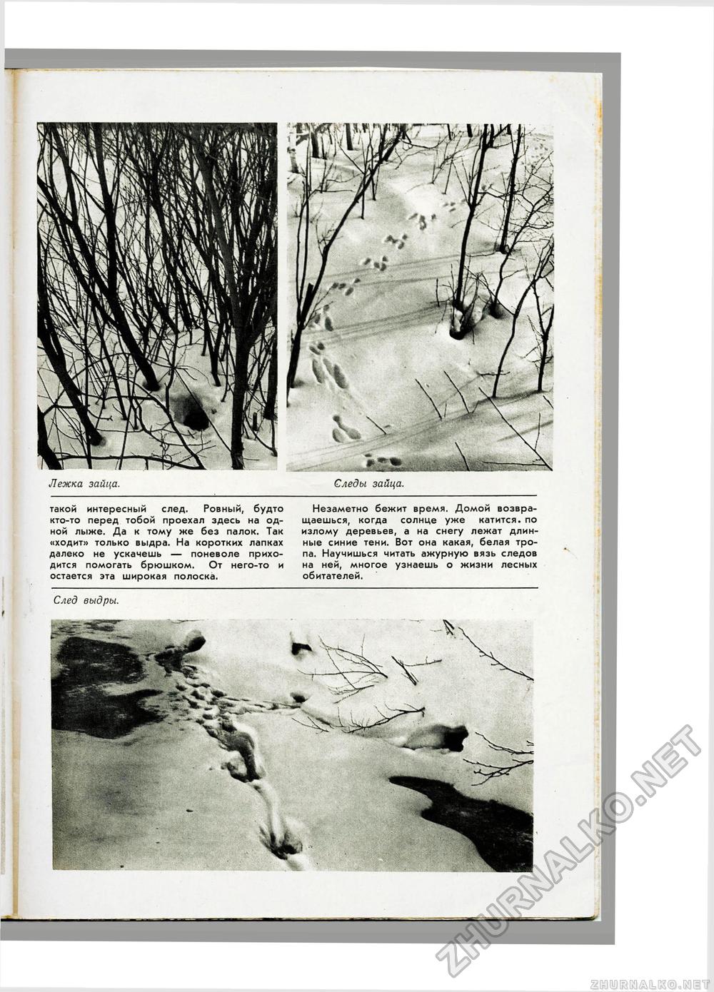 Юный Натуралист 1971-12, страница 39