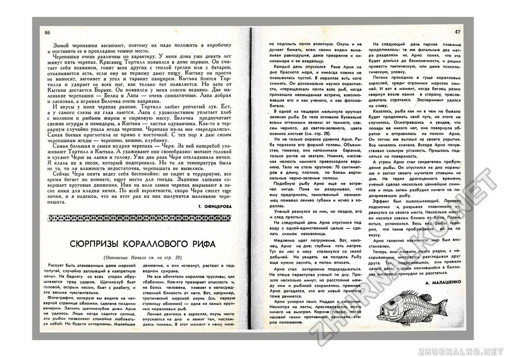 Юный Натуралист 1971-12, страница 42