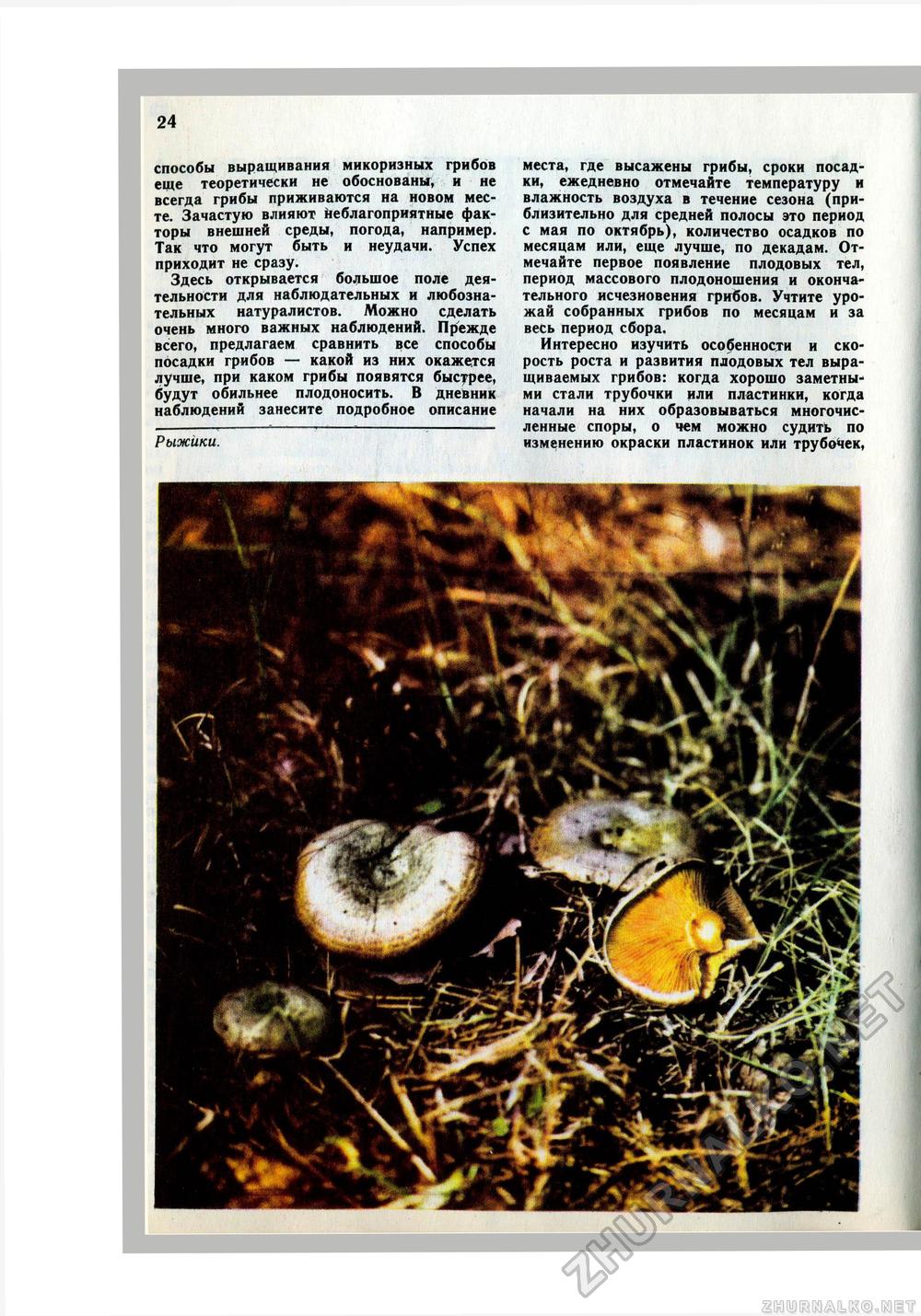 Юный Натуралист 1979-08, страница 26