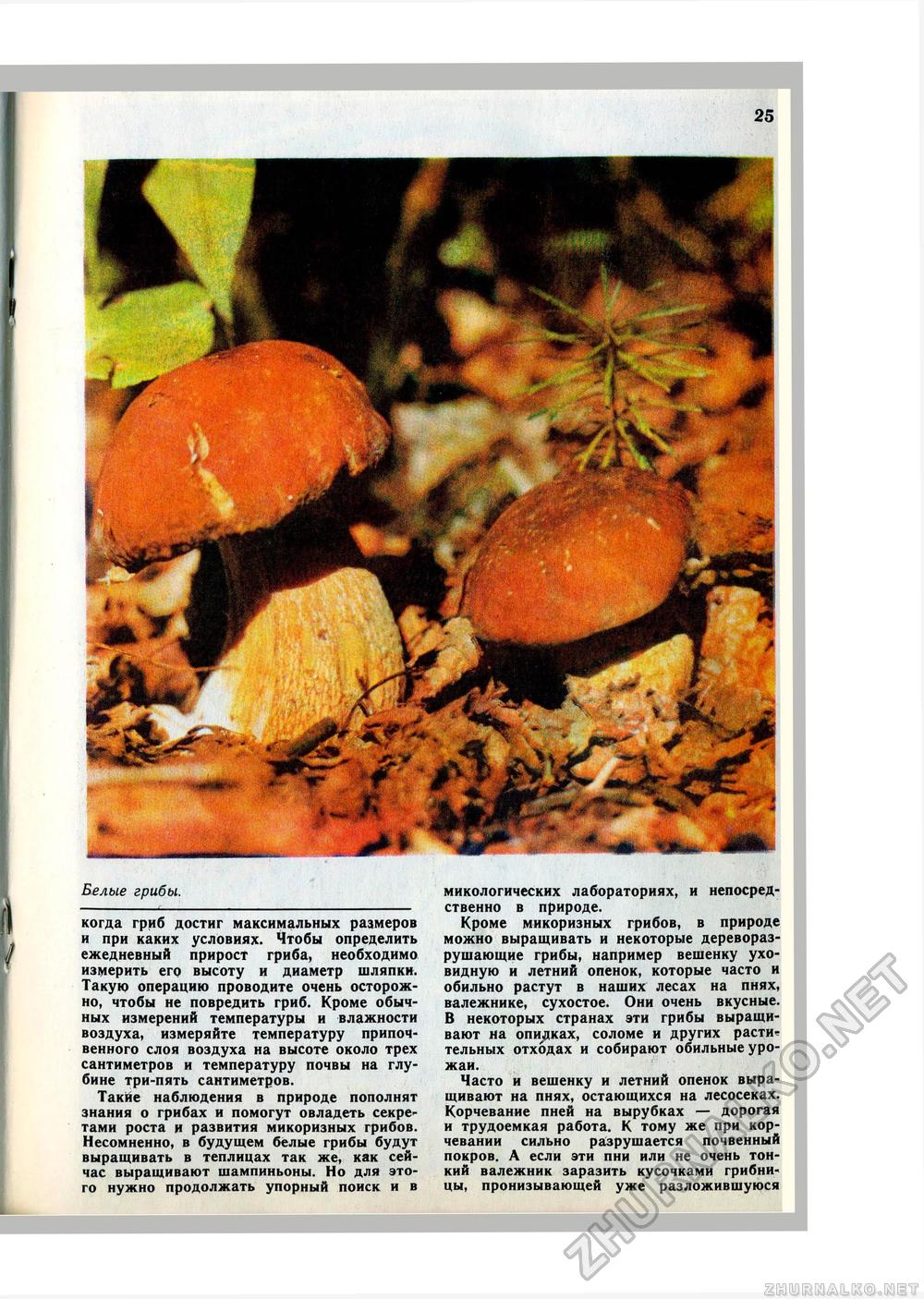 Юный Натуралист 1979-08, страница 27