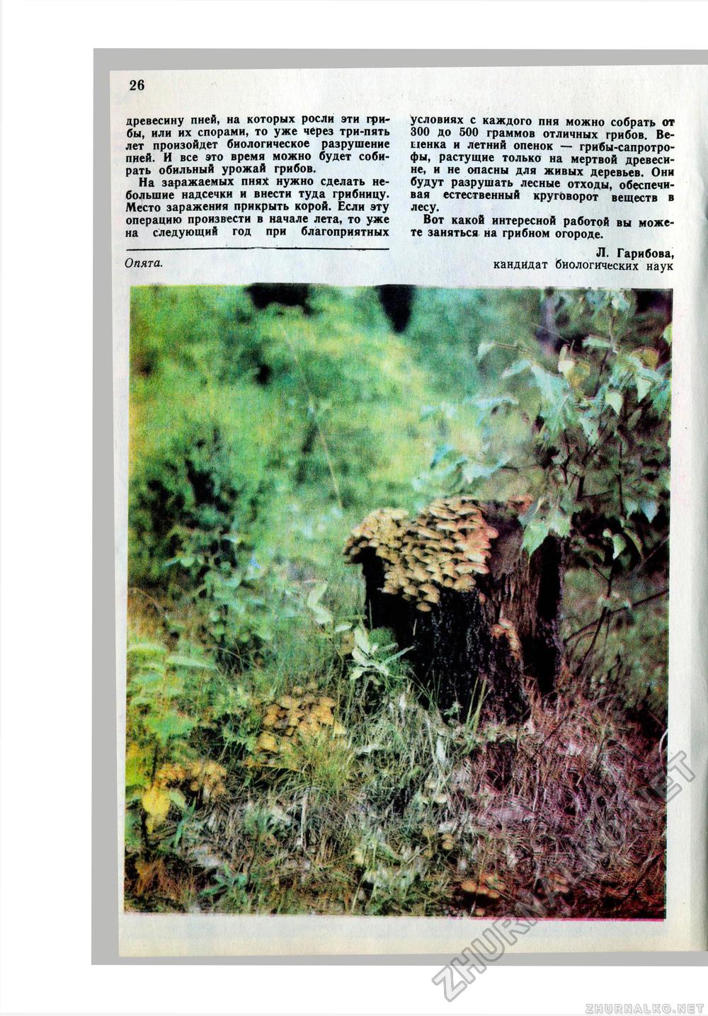 Юный Натуралист 1979-08, страница 28