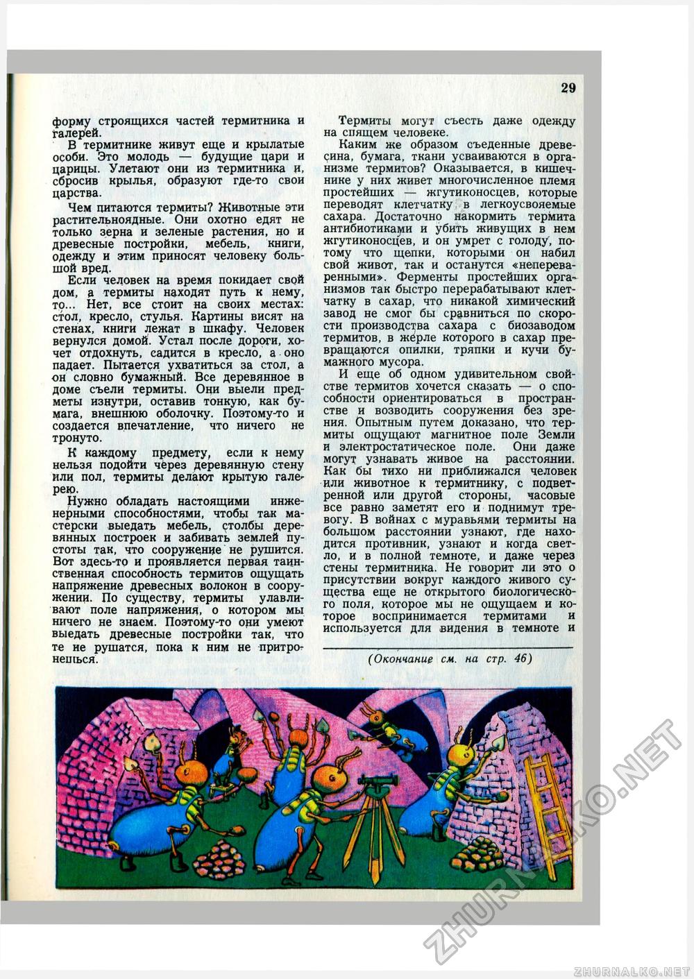 Юный Натуралист 1979-08, страница 31
