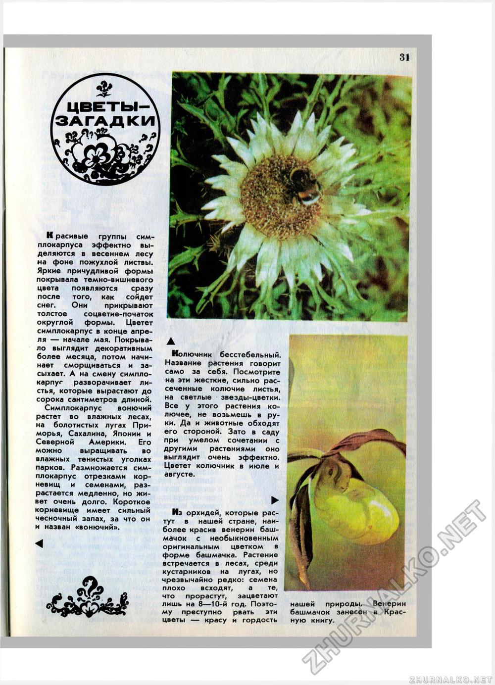Юный Натуралист 1980-06, страница 32