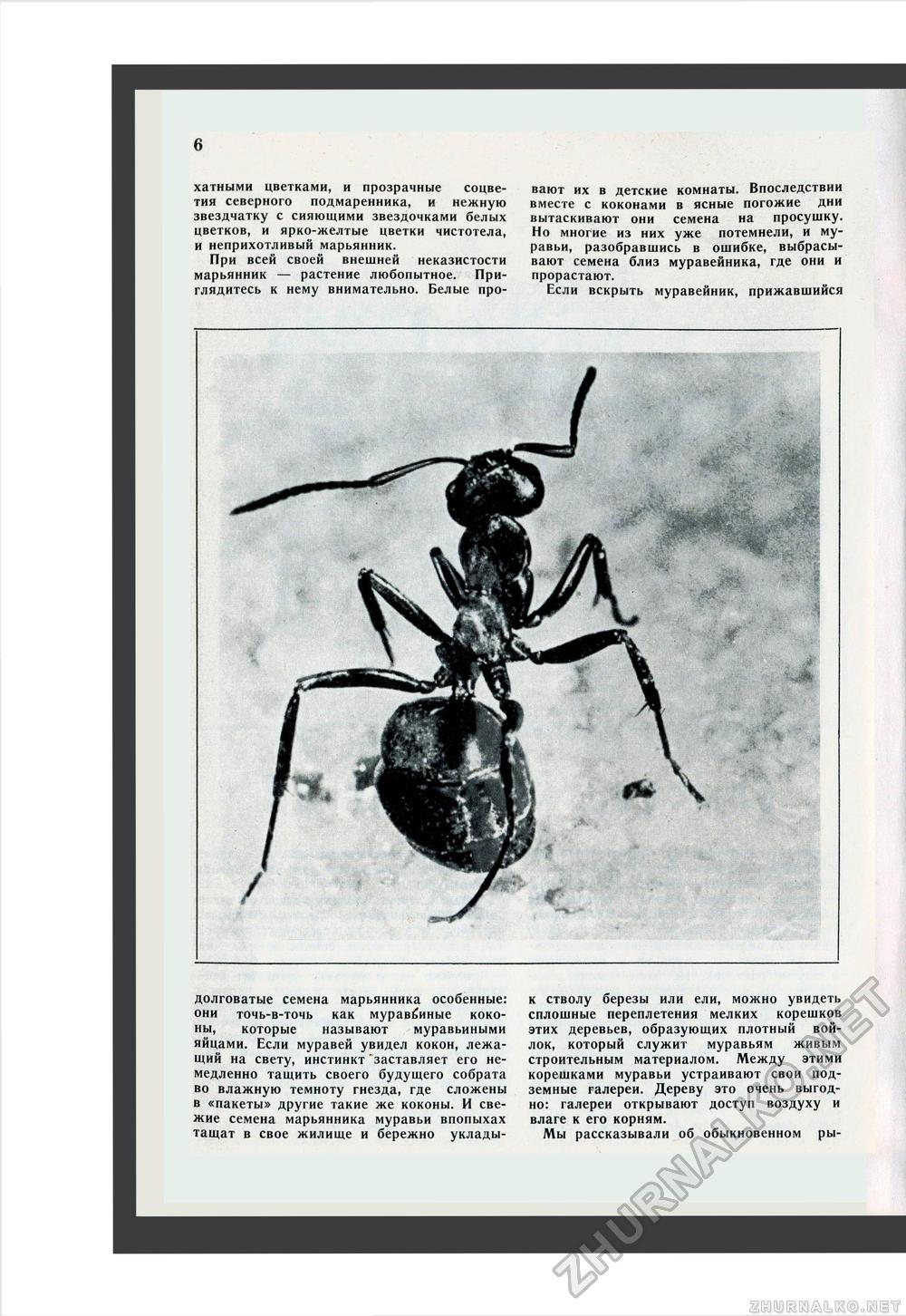 Юный Натуралист 1969-06, страница 7