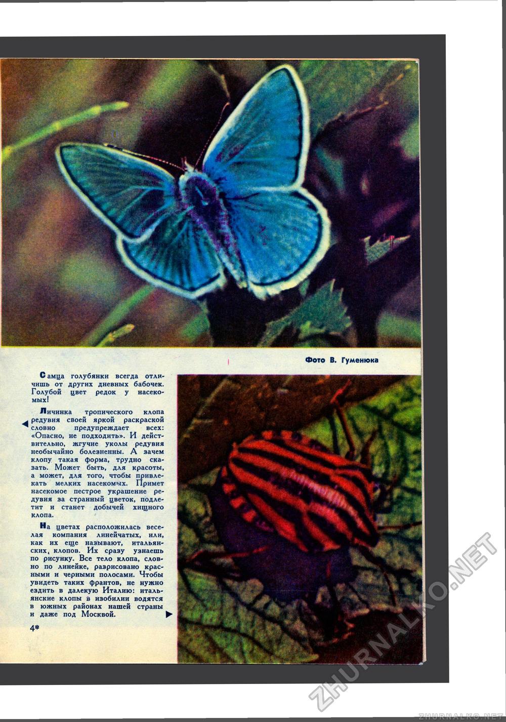 Юный Натуралист 1969-06, страница 28