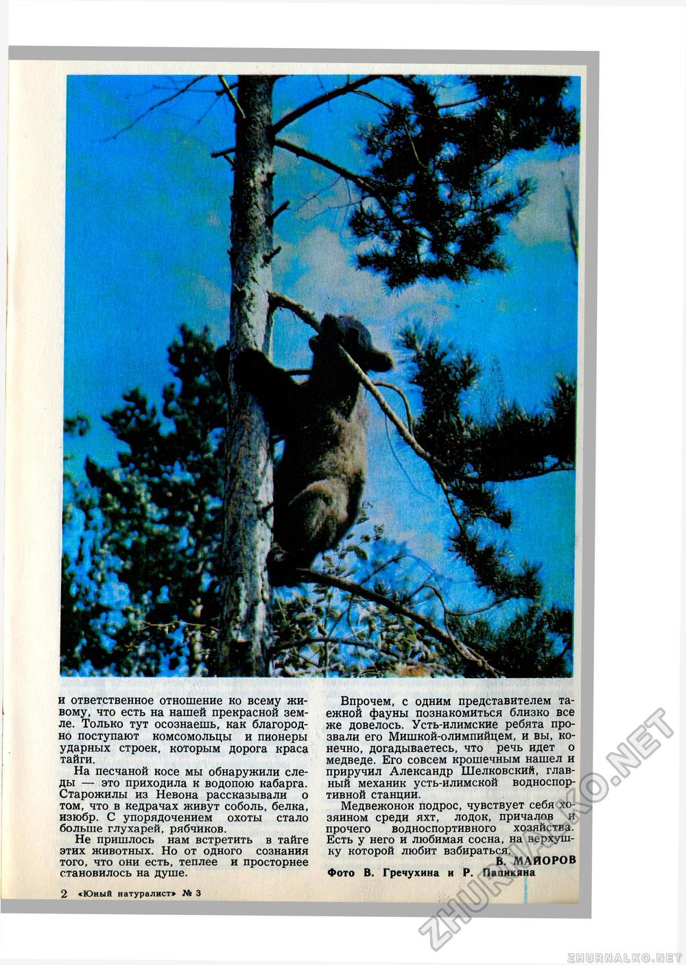Юный Натуралист 1980-03, страница 11
