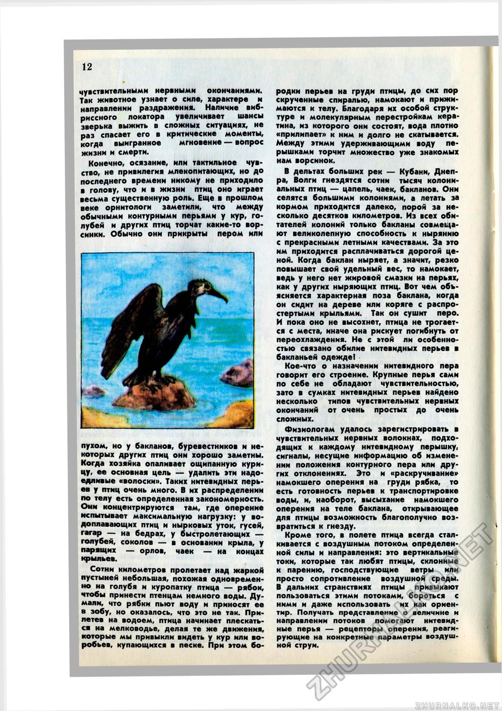 Юный Натуралист 1980-03, страница 14