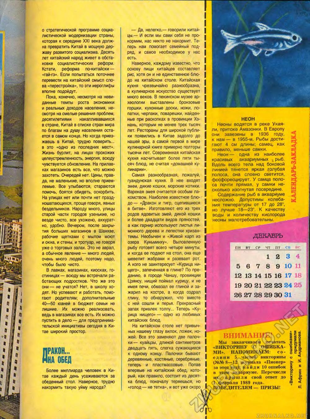 Пионер 1988-12, страница 31