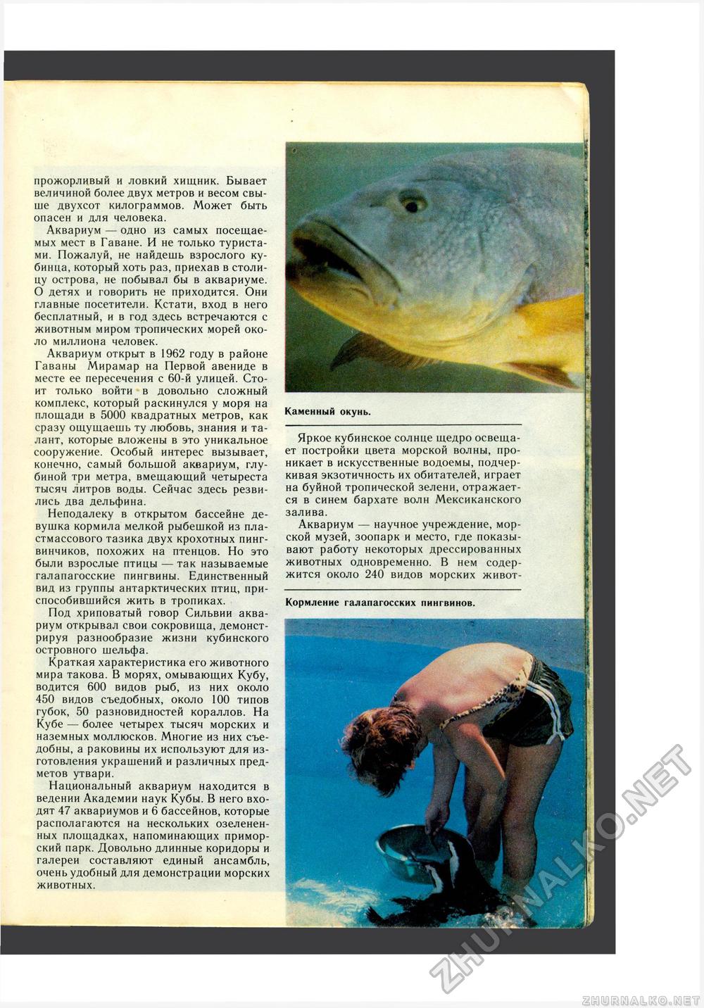 Юный Натуралист 1988-02, страница 33