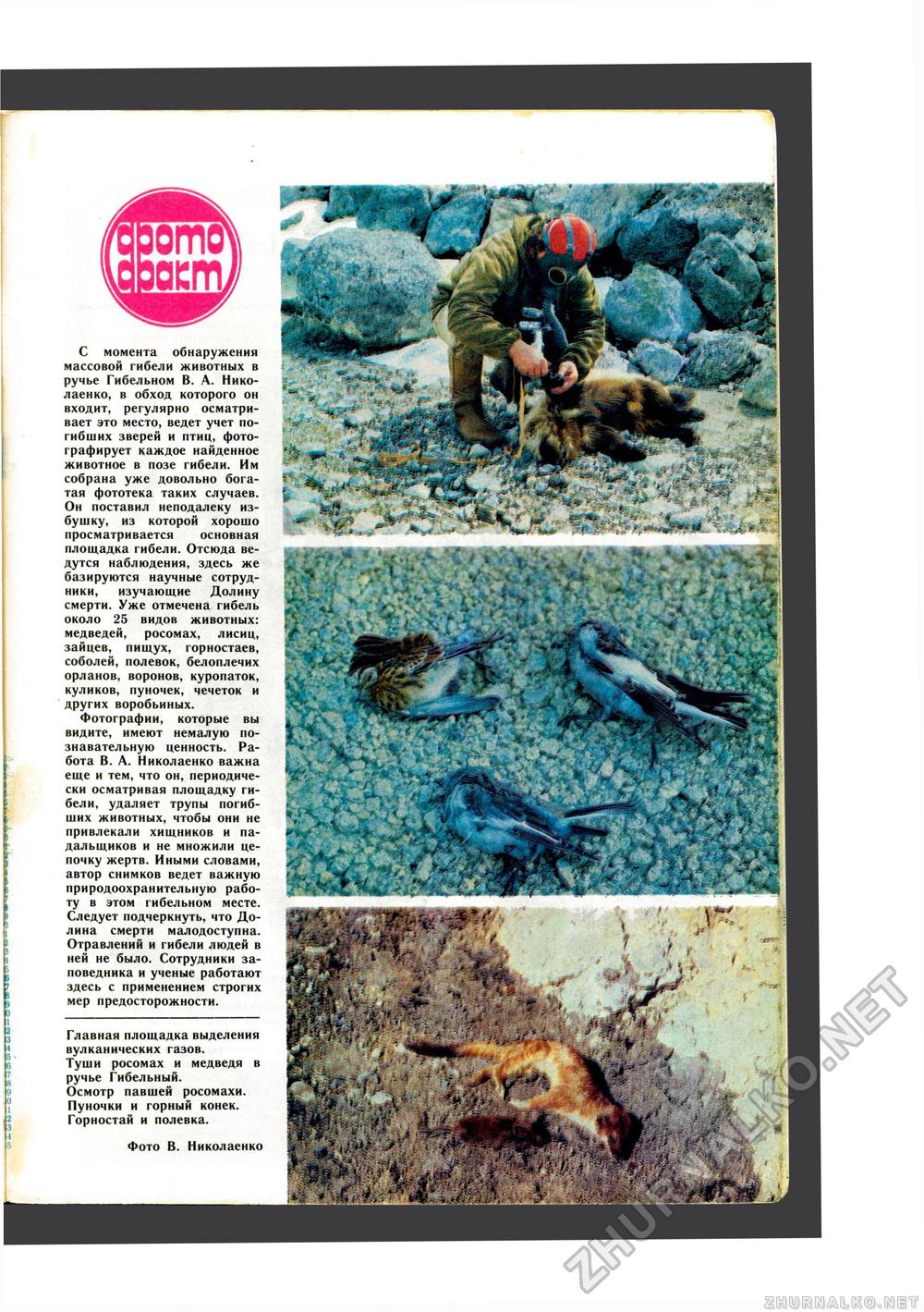Юный Натуралист 1988-02, страница 43